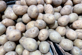 «Мелкая, в «глазках» и бороздках». Какую картошку можно купить в минских магазинах