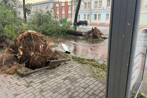 Штормовое лето: по регионам Беларуси вновь прошла непогода